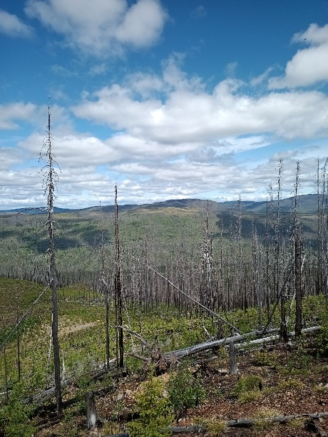 Nechako 1
