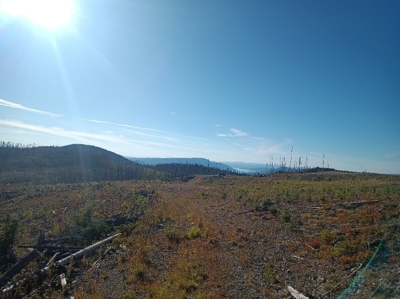 Nechako 2