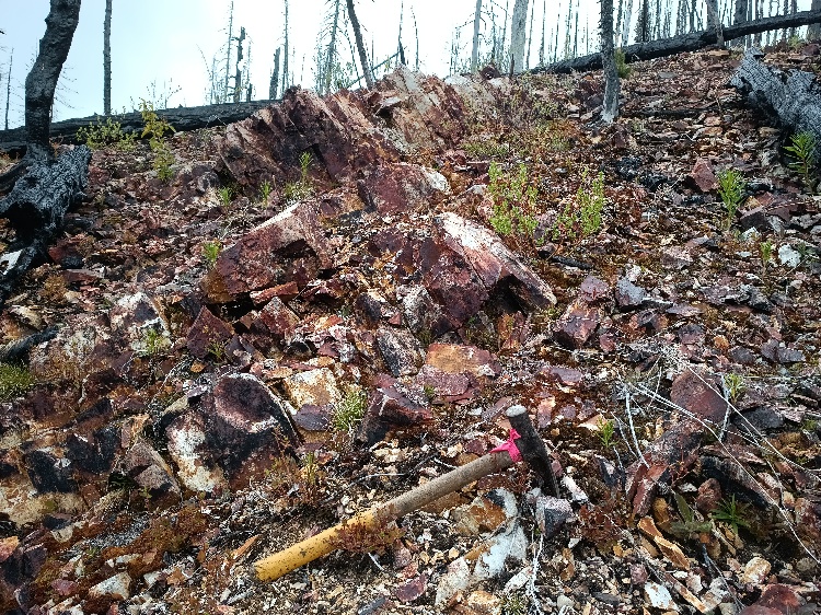Nechako 4