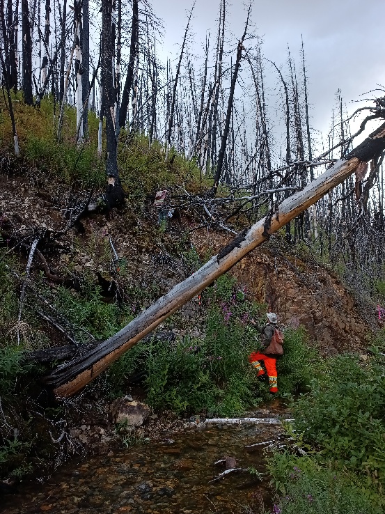 Nechako 8