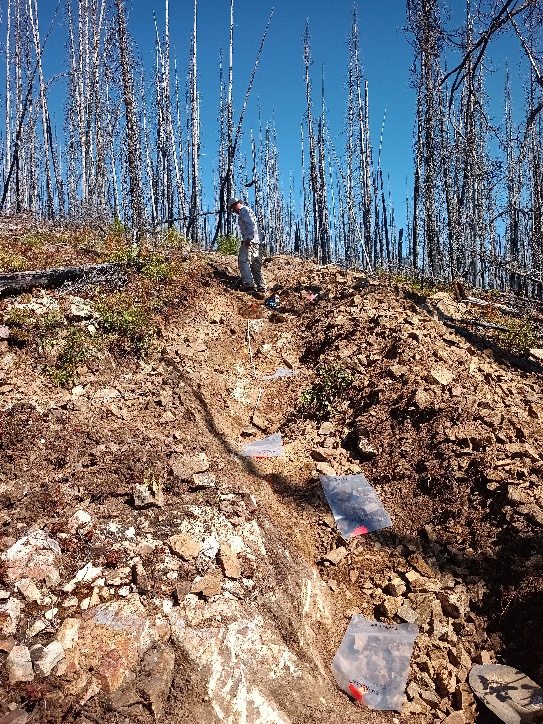Nechako 10