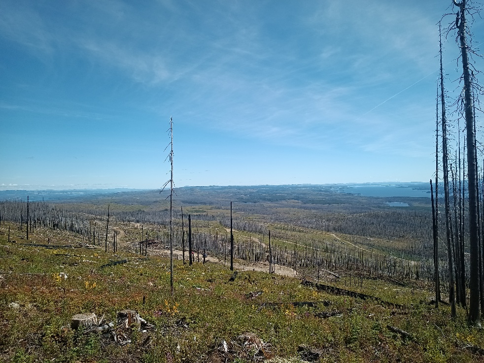 Nechako 9