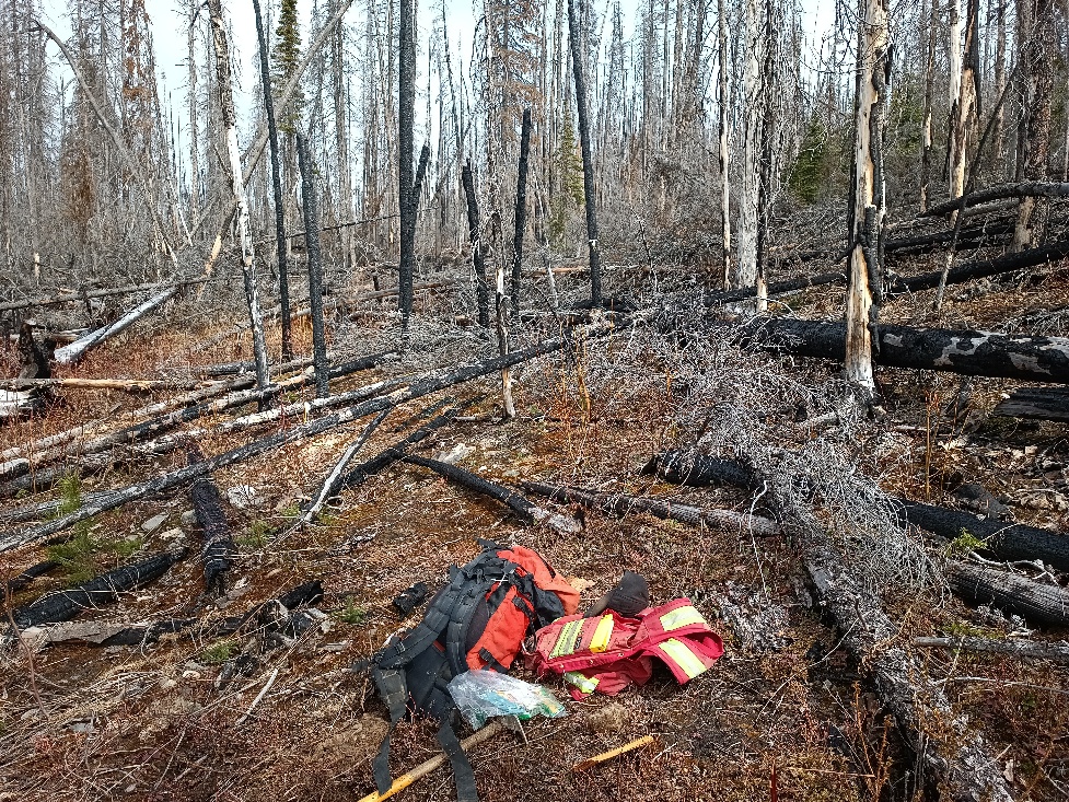 Nechako 11