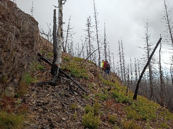 Mystery Photo 6