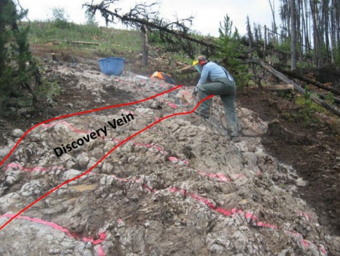 Discovery Vein Fox