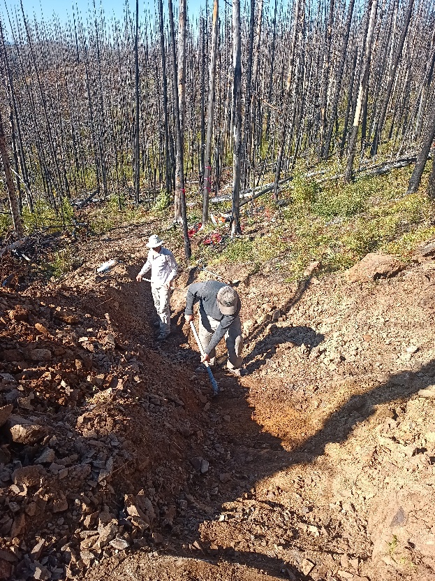 Coconut Trenching