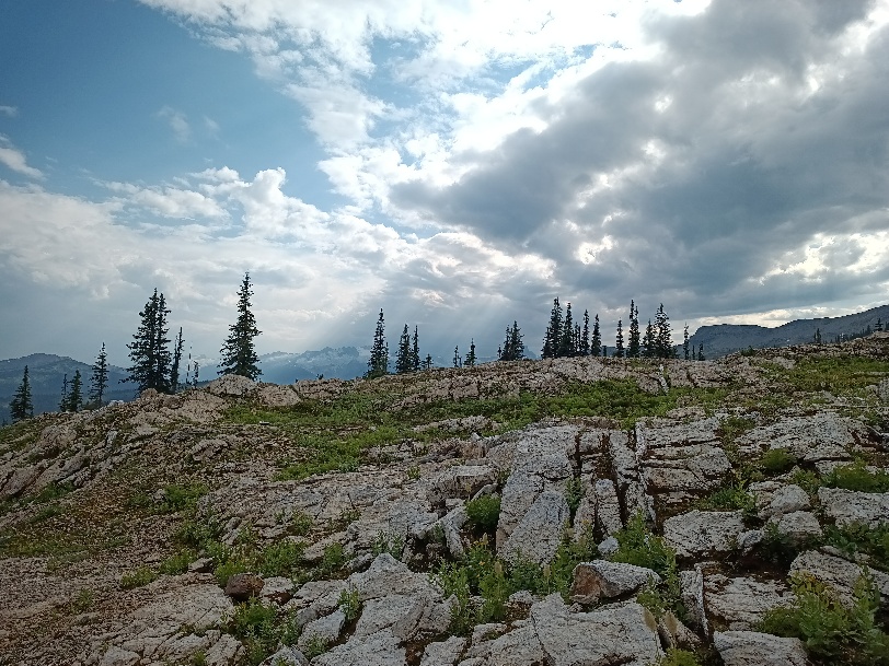 Selkirk 4