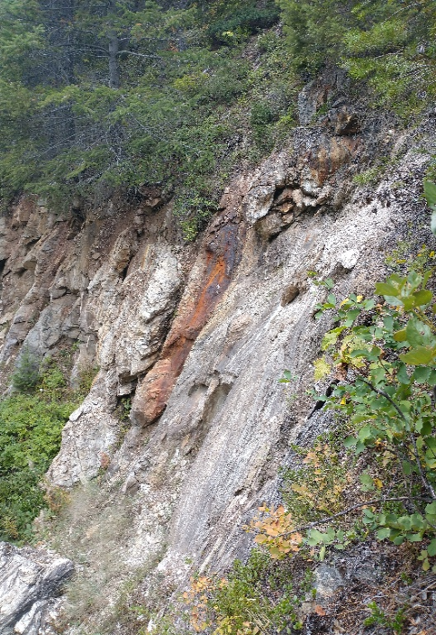 Copper Photo 5