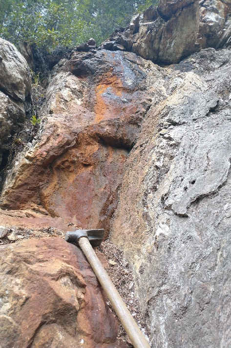 Copper Photo 6