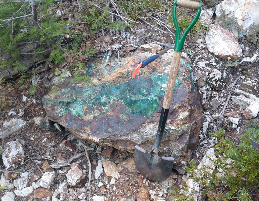 Copper Photo 7